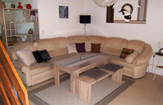 "friesenhorn" 33 Merchant - Foto 5