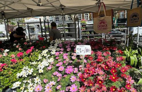 The Urban Green! Cosy luxury apartment in Chiswick - Foto 55
