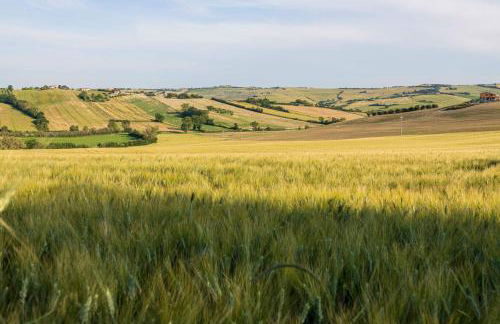 Agri Divin Amore - Foto 22