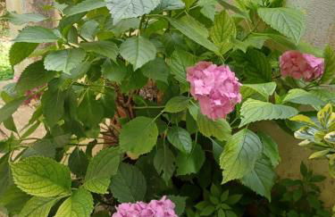 Maison au pied du château - Foto 24