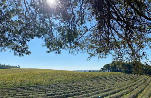 Tiny-House Grand Confort - Salle de bain italienne - Lit King - 10 min A7 - Foto 44