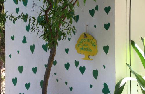 El jardín de la abuela - Foto 19