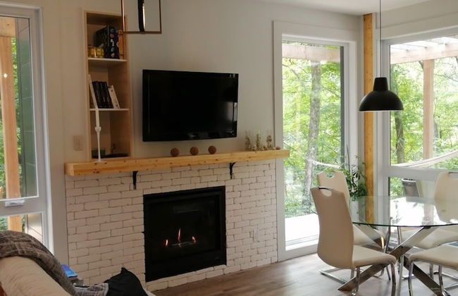 Loft in the Mountains, Near Bromont - Photo 3