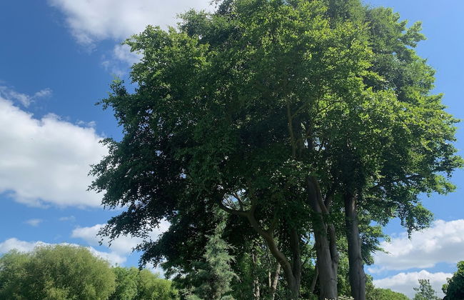 Time is Now! Beautiful Apartment in York - Foto 30