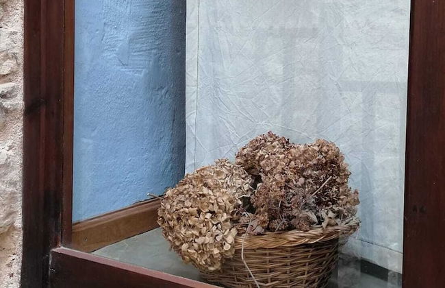 Palacio de Orisoain - Foto 57