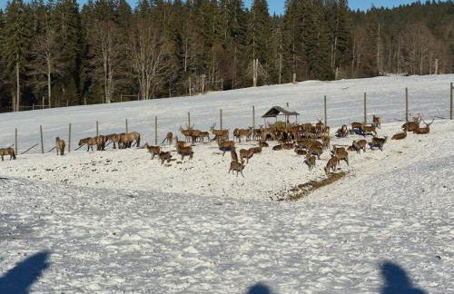 Vertu'Ose avec jacuzzi - Foto 14
