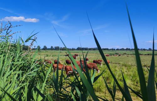 Strandhaus Alte Töpferei - Foto 79
