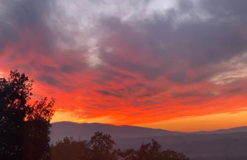 SetterHouseAgriHotel - Photo 65