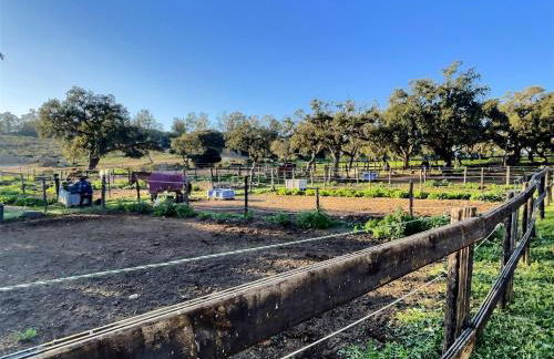 Experience Unrivalled Luxury at Emerald Greens Your Exclusive Retreat in the Heart of San Roque Club Resort - Foto 28