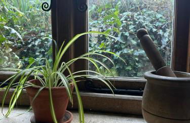 The Cartshed - Photo 32