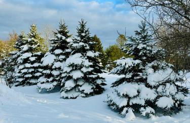 Farm Country House with Pool and Huge Property - Foto 50