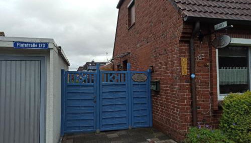 Seehund-Lilly - Foto 5