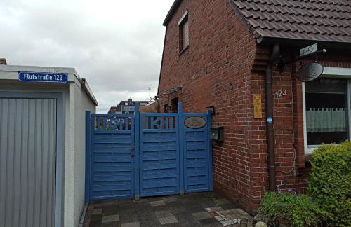 Seehund-Lilly - Foto 5