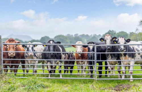 2 Bed in Hereford oc-79176 - Photo 44