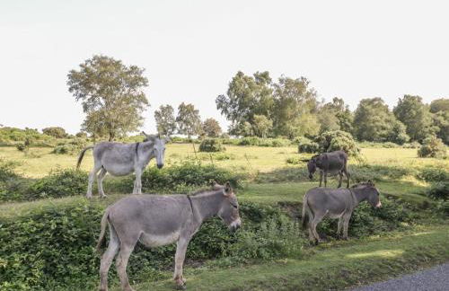 Orchard Annexe - Photo 20