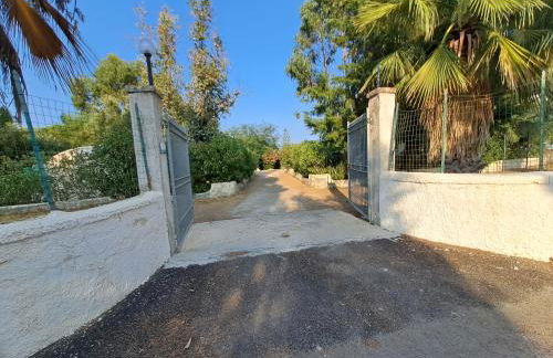 Case rotonde - Foto 7