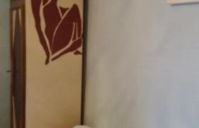 Apartman VeDE Baćina - Foto 9