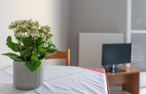 Ammousa Hotel Apartments - Foto 8