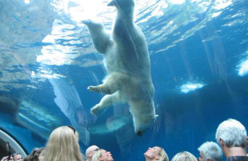 Robin's Nest - Foto 52