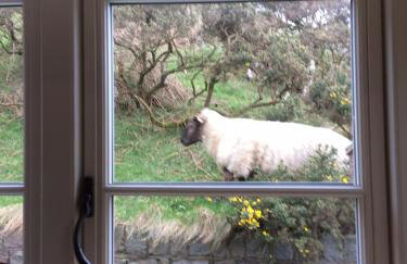 Rhiw 2 Bryn Tirion - Foto 21