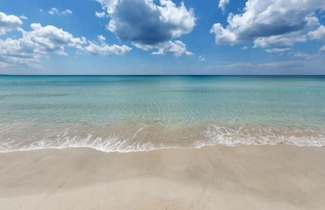 2867 Casa Sole Mio by Barbarhouse - Photo 20