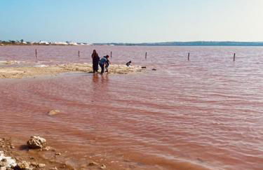 Casa Limon - Foto 43