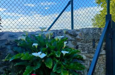 Casa Telmo - Foto 53