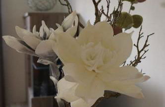 Fewo "Elsa" Reichmannsdorf - Brötchenservice - Foto 19