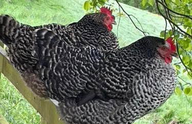 Masons Cottage, an Idyllic retreat in an area of outstanding beauty, close to Blenheim Palace, Oxford & The Cotswolds - Photo 26