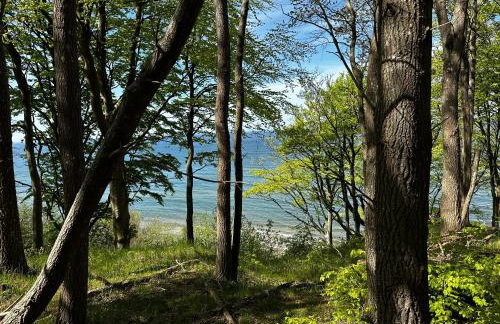 Apartament 9 Nina - Dębina - Foto 61