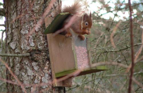 Burn Cottage - A Secluded Highland Retreat For Two - Foto 10