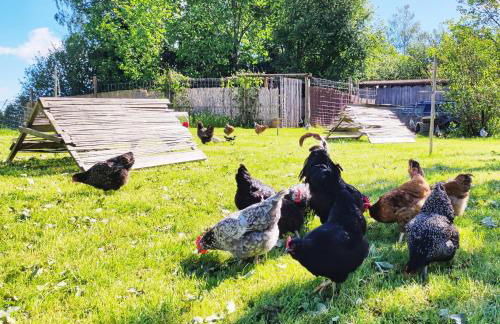 Ferienhof beim Bohlar - Geiselstein - Foto 11