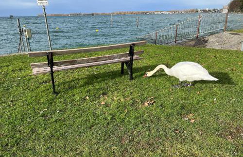 Maisonette am See - Foto 35