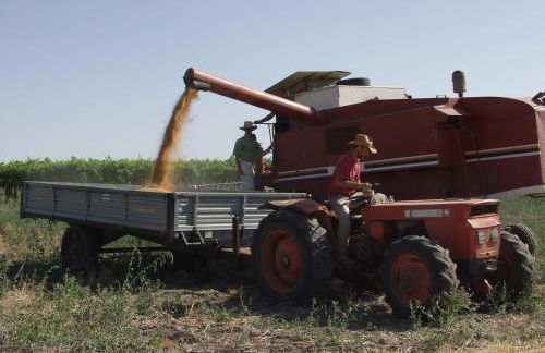 Agriturismo Poggio Ferrata - Foto 42