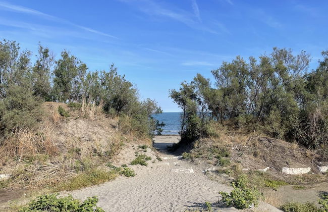 Venetia Domus 004 in Pellestrina - Foto 27