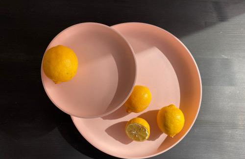 Zehuus Gartenstudio mit Terrasse - Photo 23