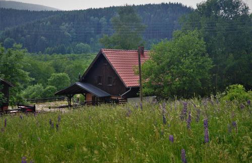 Chata nad Dziką Orlicą z jacuzzi - Foto 43