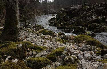 Kuća za odmor - Agatha - Bjelolasica - Foto 50