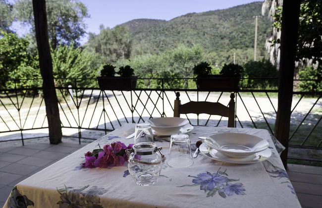 Agricontura - Foto 60