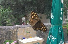 Apartment Zdenka - Foto 4