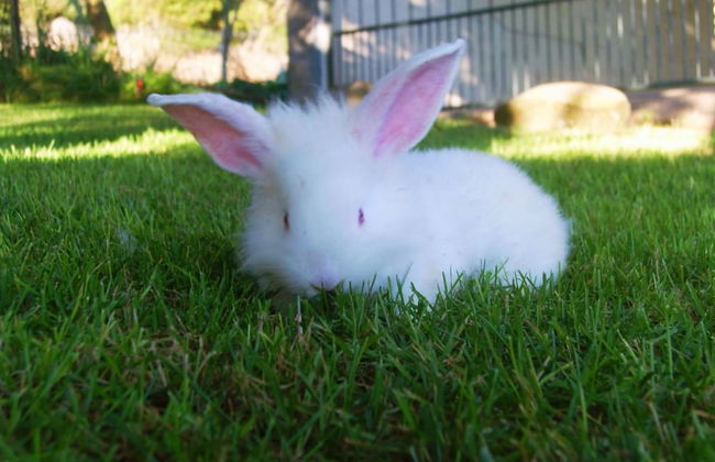 Agriturismo Sa Tanca - Photo 13