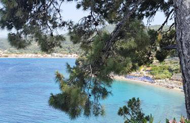 Εξοχική κατοικία Αnna's house - Photo 49