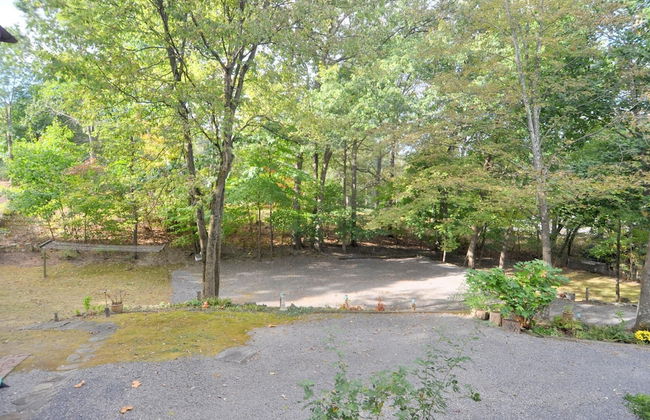 Manor at Berkeley Springs - Foto 30