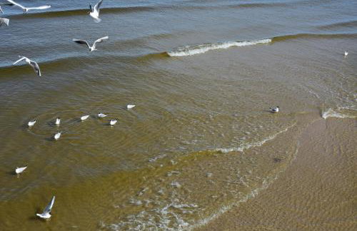 Haus Mövenort - Foto 17