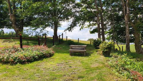 Welshhomestead - Foto 2, Garden