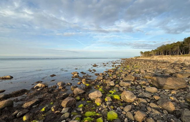 Seaside Retreat in Dronningmolle-by Traum - Foto 42