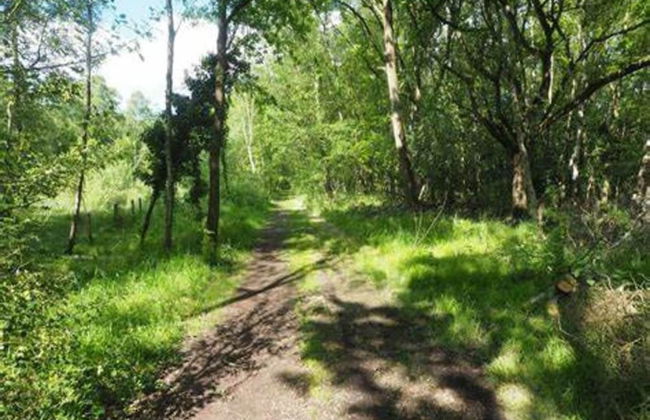 Ferienhaus in Wiek - Foto 19