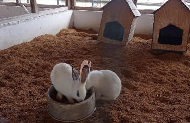 Flat no condomíno Monte Castelo em Gravatá-PE - Foto 28