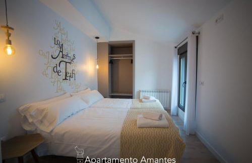 Apartamentos Plaza del Torico Teruel - Foto 8