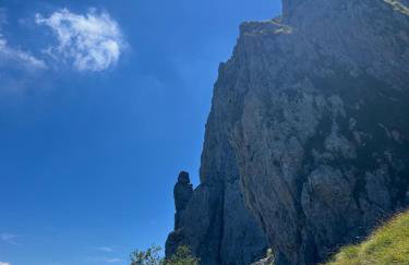 La coccinella - Foto 21